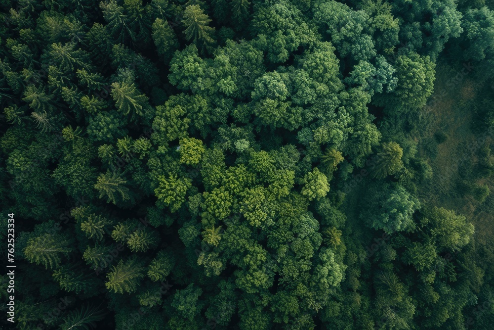 Aerial Perspective Showcasing Landscapes From Above