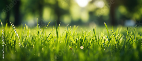 A close-up view of vibrant green grass blades, showcasing their vivid color and natural beauty in a peaceful park setting. Pattern grass background from nature suitable for graphic design
