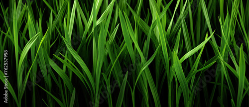 A cluster of fresh, green grass shoots reaching up towards the sunlight, creating a vibrant and dynamic scene in nature. Pattern grass background from nature suitable for graphic design photo