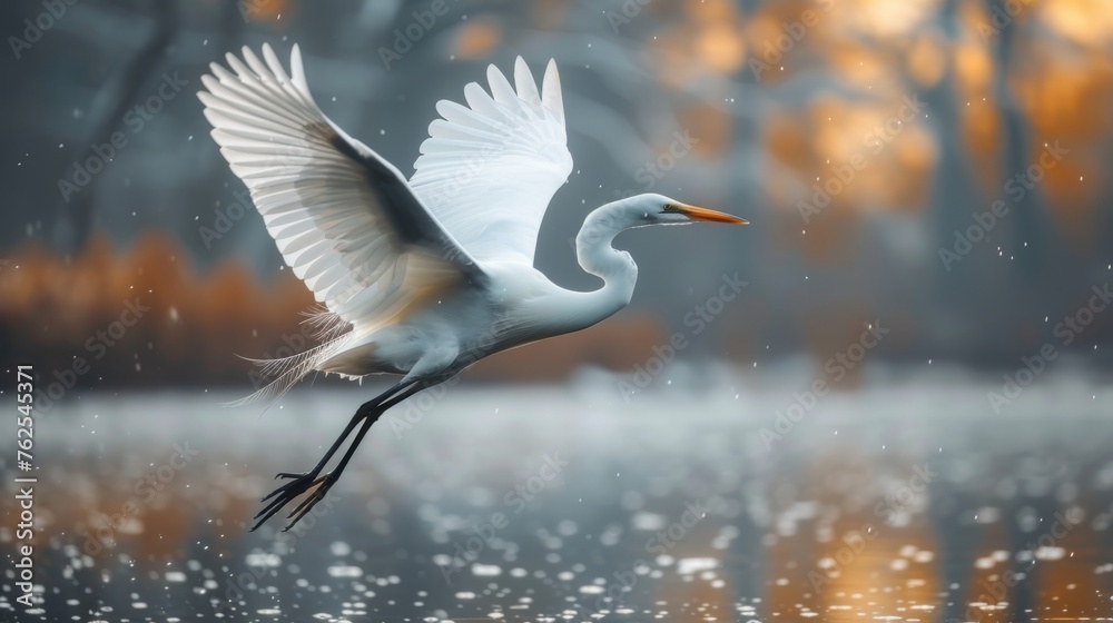 Majestic Great Egret Taking Flight Over A Serene Lake At Twilight - obrazy, fototapety, plakaty 