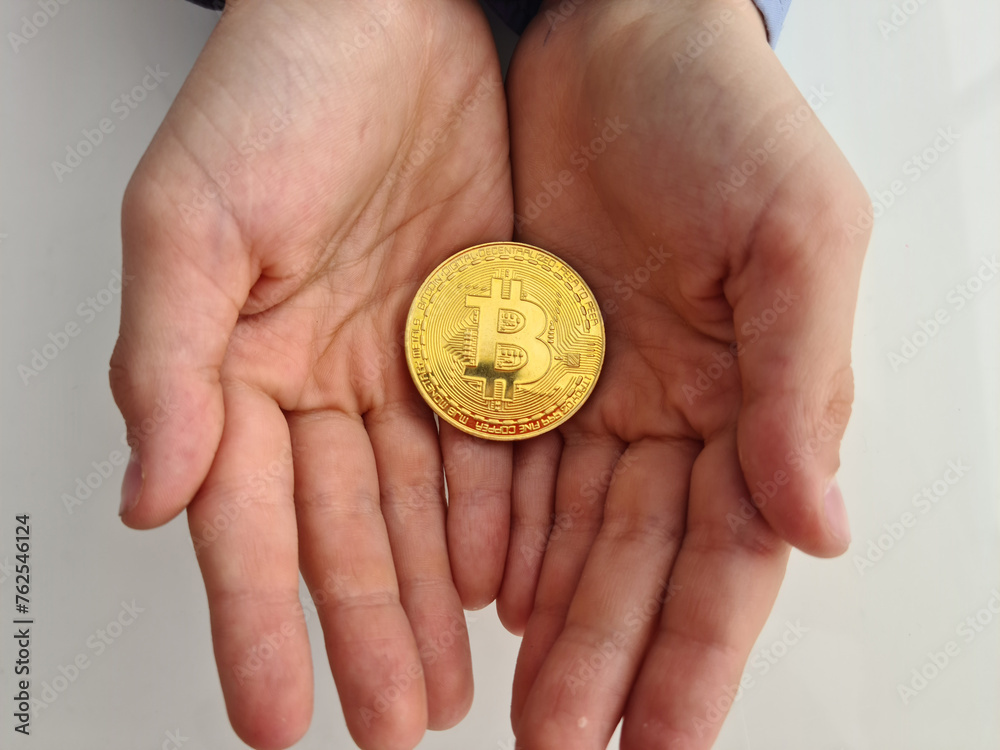 Person Holding Bitcoin in Hands Person Holding Bitcoin in Hands