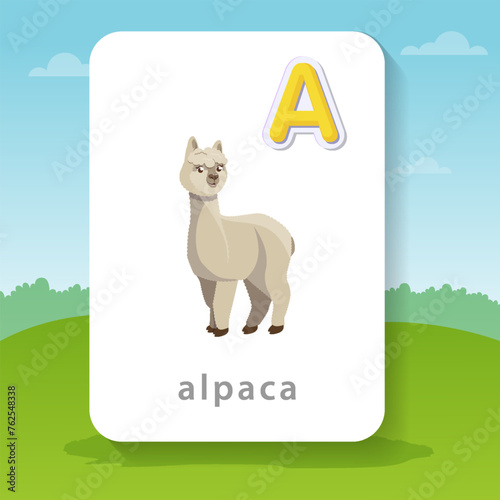 Cute cartoon animal llama alpaca with the letter A in the alphabet on a card for children's vector illustration, unique design for postcards, educational materials, posters, invitations