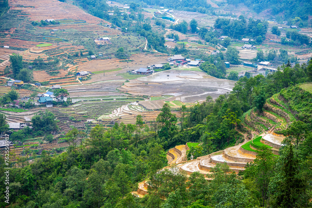 Fototapeta premium Terraced Rice Fields in Spring - Sapa, Vietnam