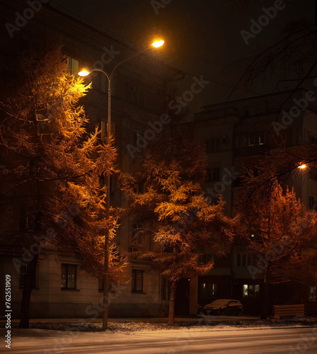 Russia. South of Western Siberia, Novokuznetsk. Autumn yellow larches illuminated by street lamps on a snowy evening.
