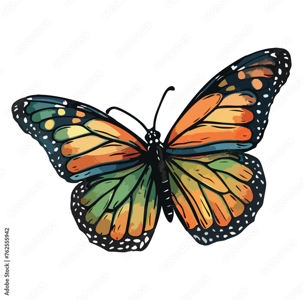 Fototapeta premium monarch butterfly with blues silver green