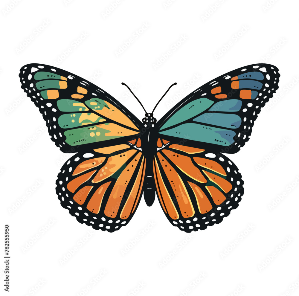 Fototapeta premium monarch butterfly with blues silver green