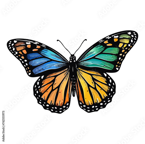 monarch butterfly with blues silver green