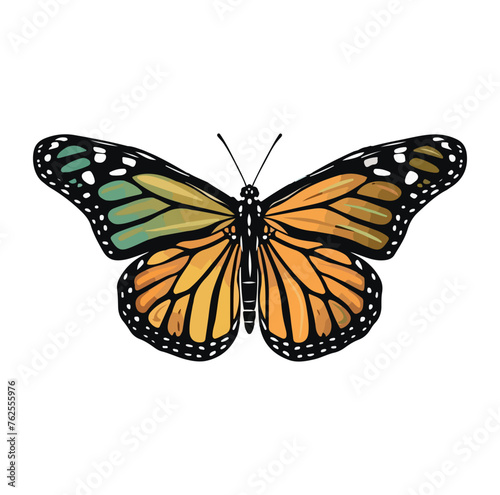 monarch butterfly with blues silver green