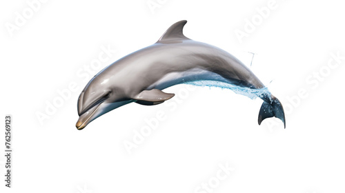 A majestic dolphin jumps out of the water against a stark white background