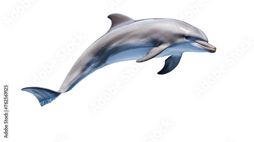 A dolphin gracefully jumps in the air  its sleek body arching elegantly against the clear sky
