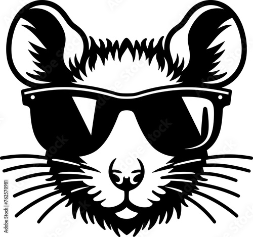 Rat Wearing Sunglasses
