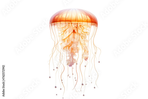 Delicate Jellyfish Silhouetted Against Sunlight Isolated on Transparent Background PNG format