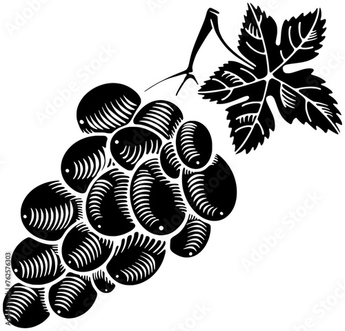 grape illustration leaf silhouette agriculture logo fruit icon nature outline raisin green vine food natural harvest raise branch grow shape ripe healthy wine for vector graphic background