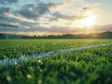 Soccer field with white line on grass. Sun is setting in background