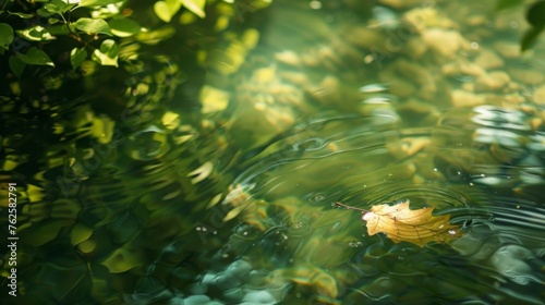 A single leaf floating on the surface of a clear, still pond, illuminated by dappled sunlight filtering through lush foliage, epitomizing simplicity and natural beauty.
