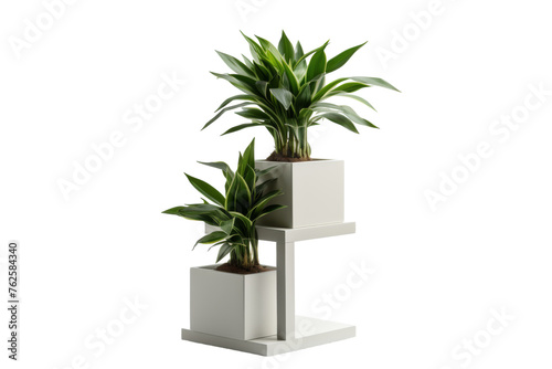 Plant Stand for Office Greenery Isolated on Transparent Background PNG format