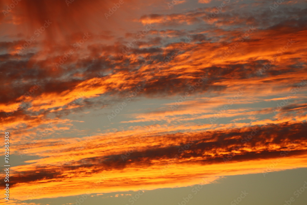 Fototapeta premium sunset in the sky