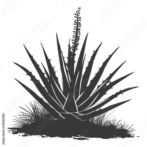 Silhouette Aloe vera tree in the ground black color only