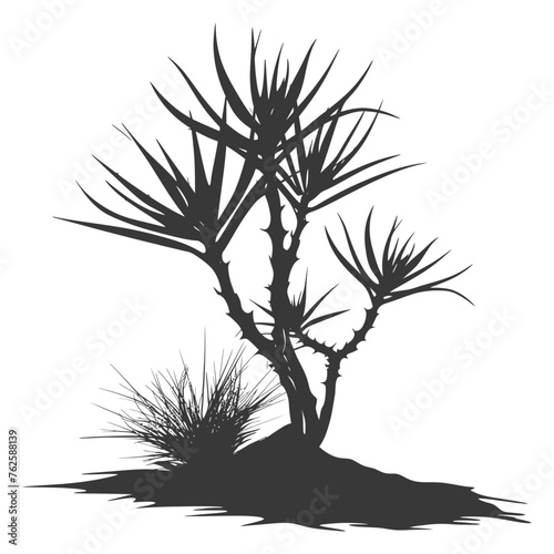 Silhouette Aloe vera tree in the ground black color only