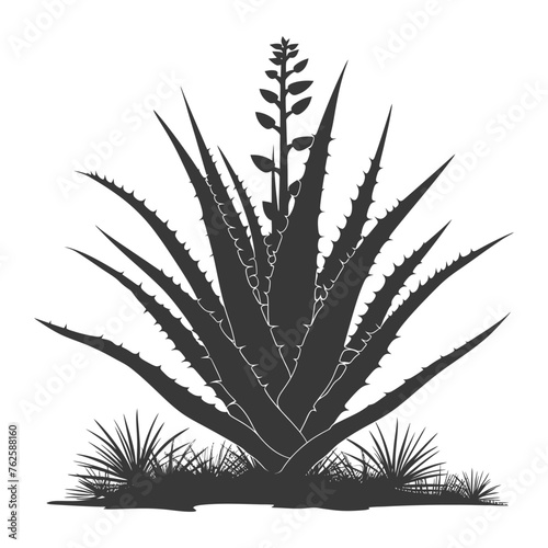 Silhouette Aloe vera tree in the ground black color only