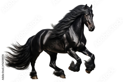 Majestic Black Stallion Power and Grace Isolated on Transparent Background PNG format