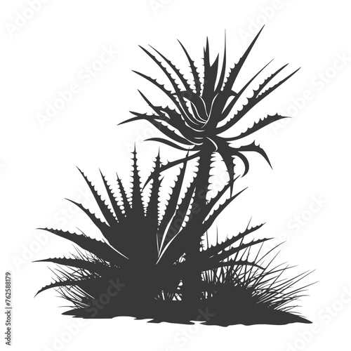 Silhouette Aloe vera tree in the ground black color only