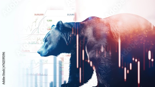 bear market photo