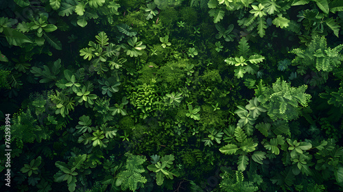 Aerial view of a dense forest floor, with vivid moss and twigs, providing ample copy space, devoid of text, logos, brand names, or letters, ultra high resolution, cinematic ambiance
