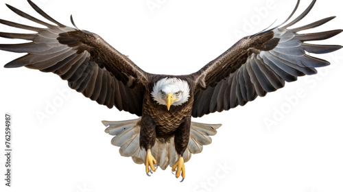 An eagle with its wings spread wide is gracefully flying through the sky