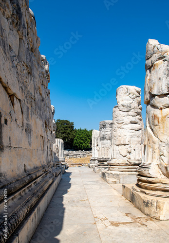 The Temple of Apollo at Didyma antique city in Didim, Aydin - Turkey