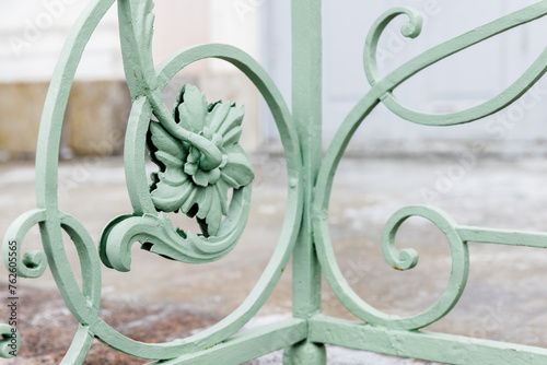 Vintage forged railings with floral decoration design elements