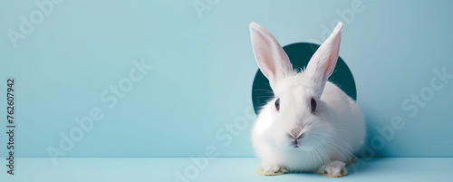 A white rabbit with ears sticking out of a hole