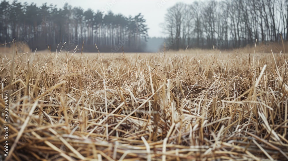 Fototapeta premium Haystack image