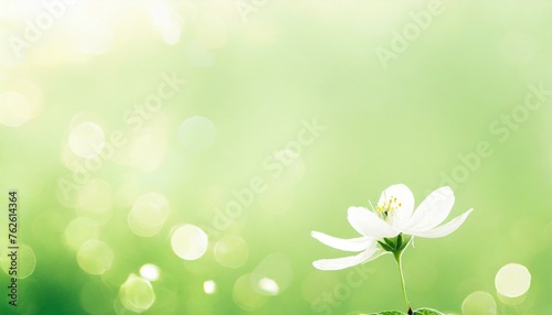 Spring background abstract banner green blurred bokeh lights