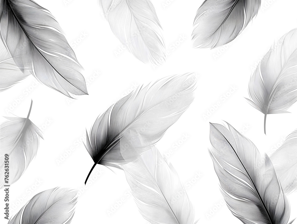 set of eleven light grey feathers isolated on white - obrazy, fototapety, plakaty 