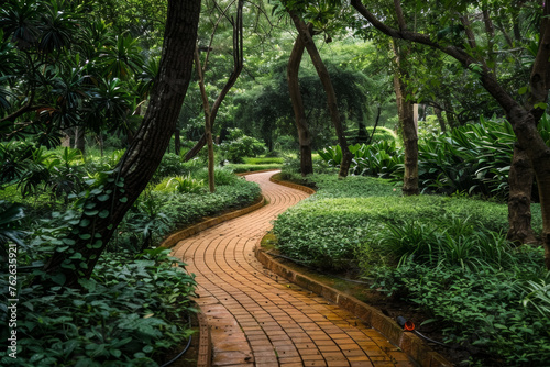 Serene Forest Pathway