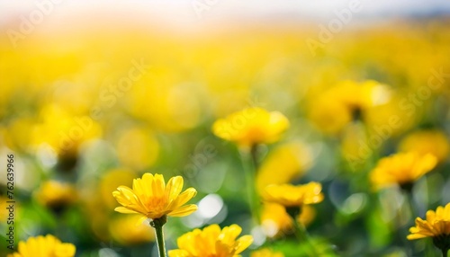 soft yellow blurred bokeh background texture