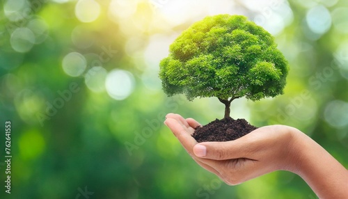hand holding tree on blur green nature background concept eco earth day