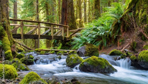 washington state olympic national park sol duc valley rainforest with trail and bridge over stream
