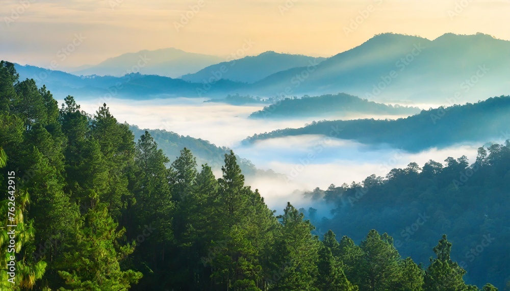 the landscape of pine forests on the mountains is interspersed with morning mist natural background concept