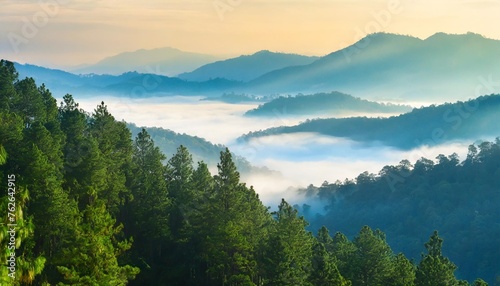 the landscape of pine forests on the mountains is interspersed with morning mist natural background concept © Faith