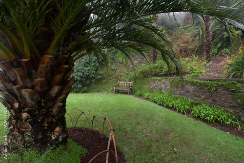 An empty bench in Overbeck's Garden Devon photo