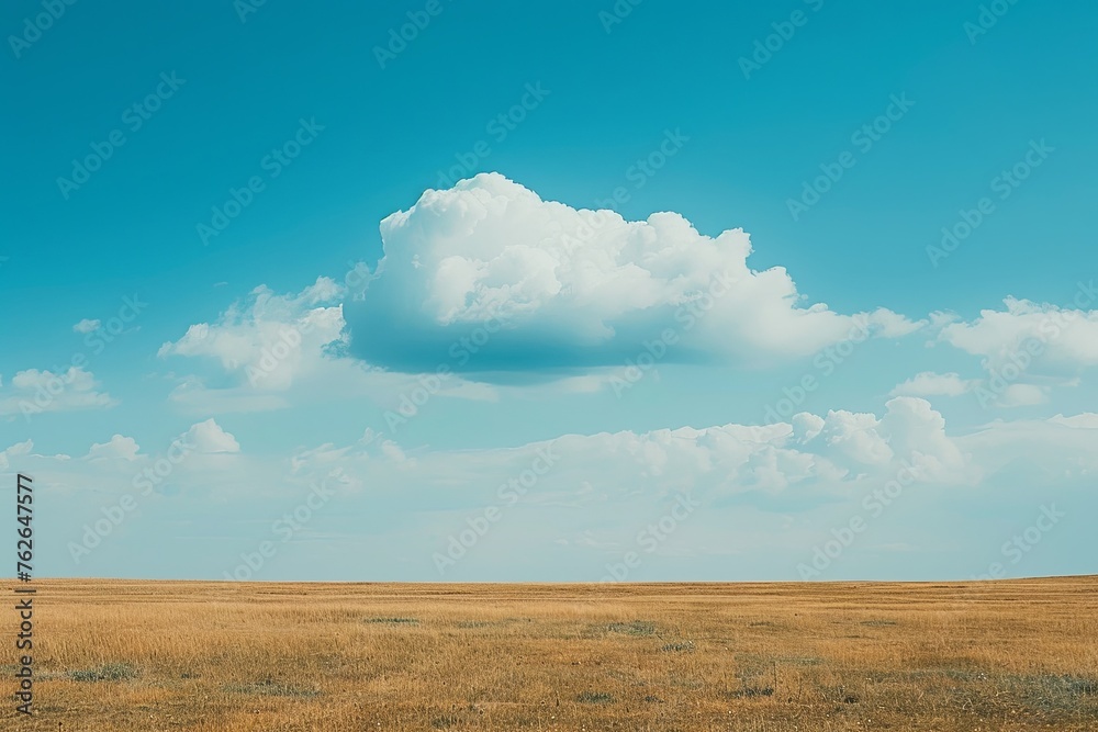 A solitary white cloud hovers above a vast golden field, showcasing the simplicity and expanse of the rural landscape.