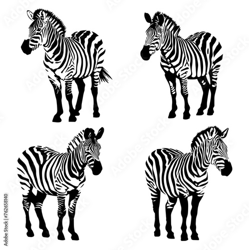 jumping striped African Zebra  hand-drawn