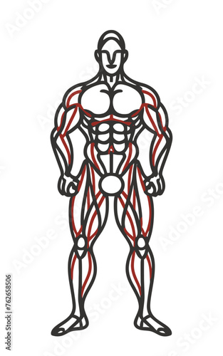 red white black modern style minimalist lines of a strong muscle pose strong body builder anatomy man at gym with bundle Doing exercises in all body positions using different gym equipment