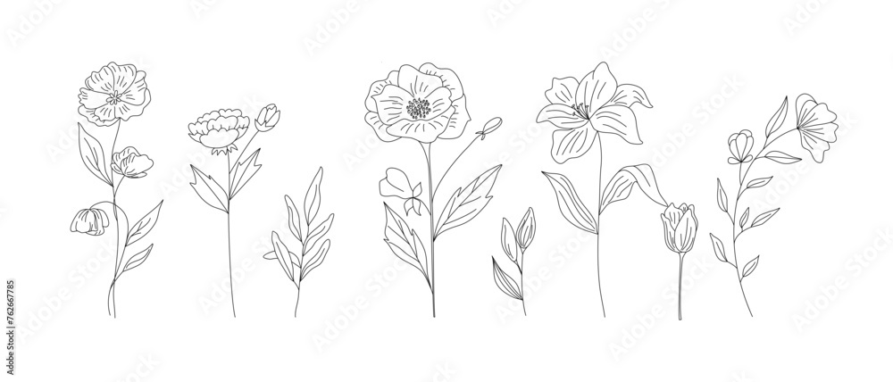 Hand drawn wild field flora, flowers, leaves, herbs, plants, branches. Minimal floral botanical line art. Vector illustration for logo or tattoo, invitations, save the date card. Hand drawn wild field flora, flowers, leaves, herbs, plants, branches. Minimal floral botanical line art. Vector illustration for logo or tattoo, invitations, save the date card.