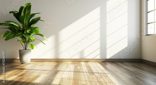 Potted tropical plant on wooden floor in front of white wall with window shadows, in big empty room