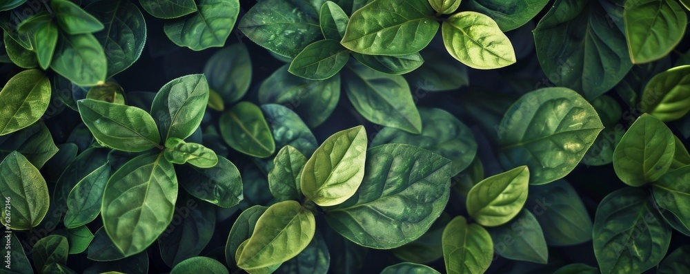 Full frame shot of lush green leaves, capturing the essence of nature in a vibrant background illustration. Full frame shot of lush green leaves, capturing the essence of nature in a vibrant background illustration.
