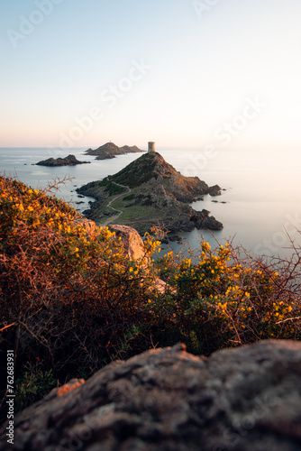 Sunset behind golden shrubs at medieval Îles Sanguinaires, Ajaccio, Corsica