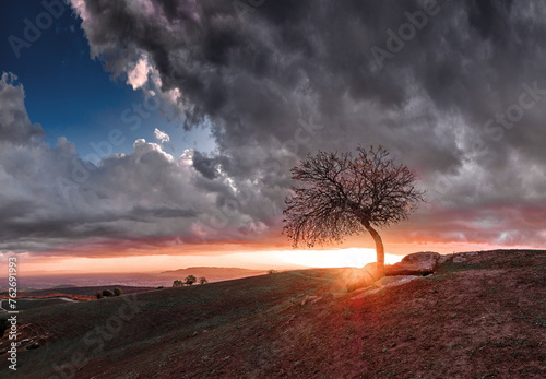 A solitary tree on a hill against the backdrop of a dramatic sunset breaking through storm clouds.